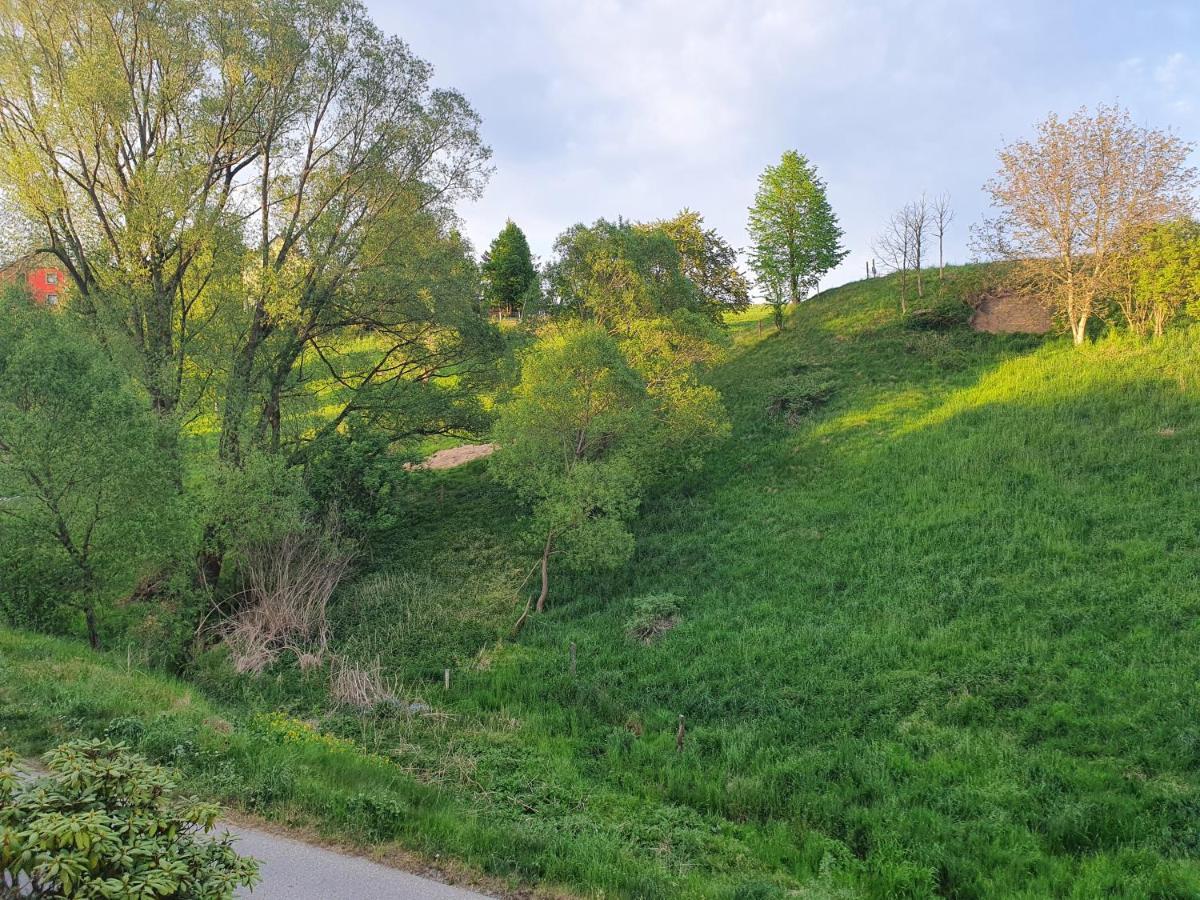 Fewo-Hierundjetzt Lichtenhain Bei Sebnitz Am Malerweg Exterior photo